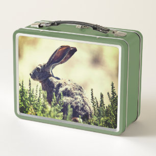 Box Lapin Lapin Animal Métal Boîte à lunch