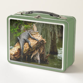Box Lazy Gator Cypress Boîte à lunch de marais par DeG