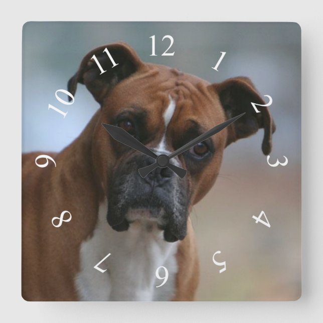 Boxe chien Portrait Carré Horloge murale (Recto)