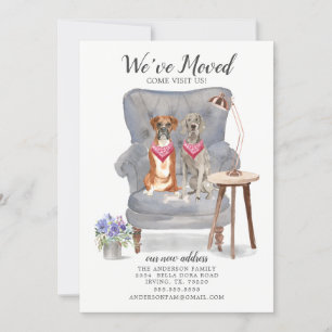 Boxe et Weimaraner Chien Moving Faire-part