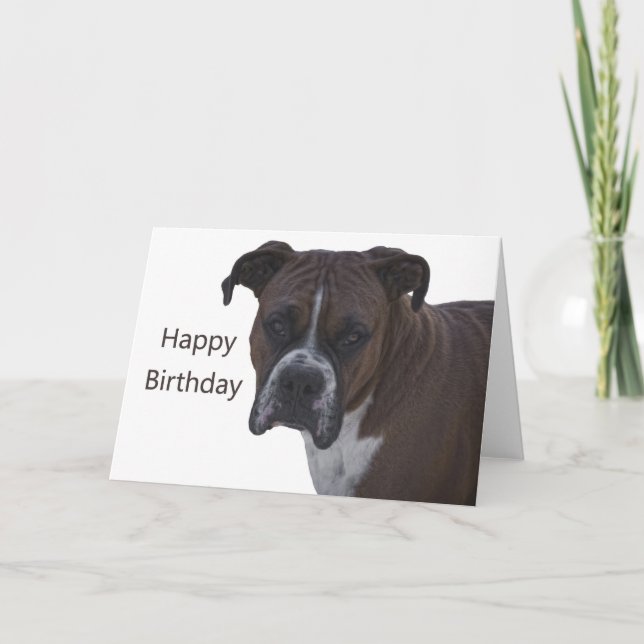 Boxer Bonne Carte Anniversaire (Devant)