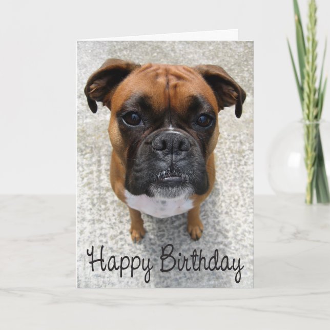 Boxer Chien Chien Chien Heureux Anniversaire Carte (Devant)