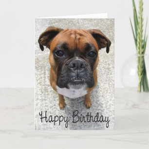 Boxer Chien Chien Chien Heureux Anniversaire Carte