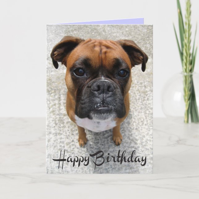 Boxer Chien Chien Chien Heureux Anniversaire Carte (Devant)