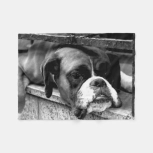 Boxer Chien sur la couverture en polaire fbcn