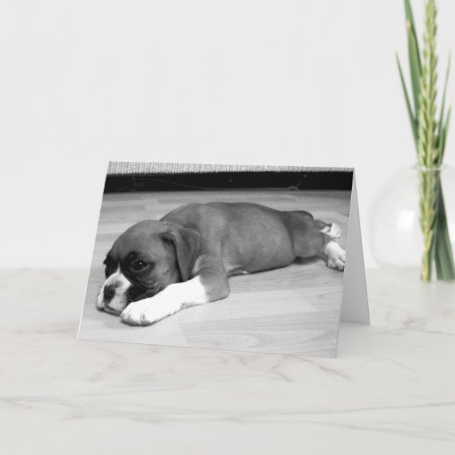 Boxer chiot "Sasha" carte de voeux relaxant (Devant)