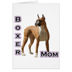 Boxer Maman 4