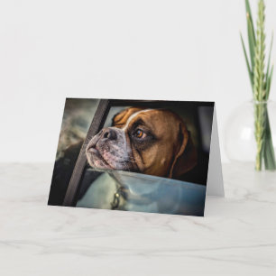 Boxer sent une carte BBQ