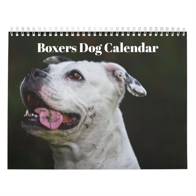 Boxers Dogs 2025 Calendrier (Protection)