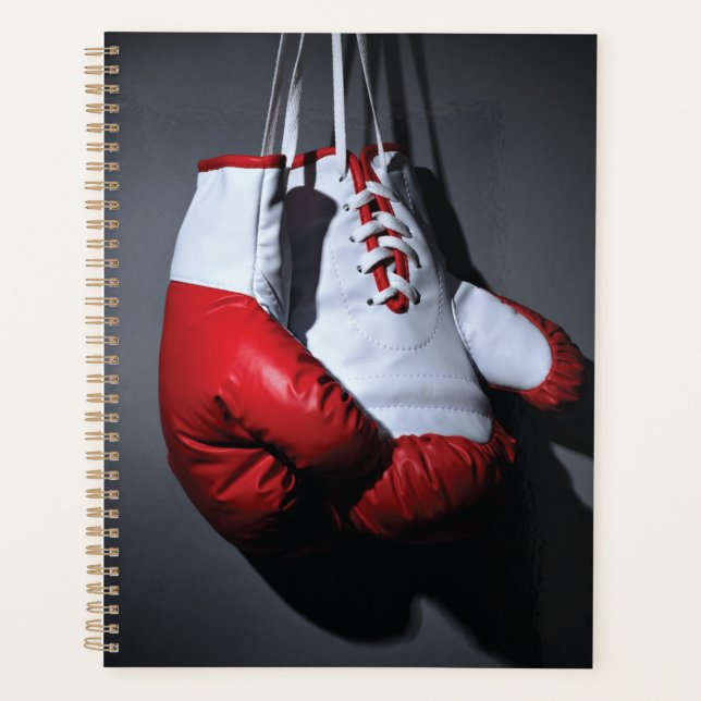 Boxing gloves (Devant)
