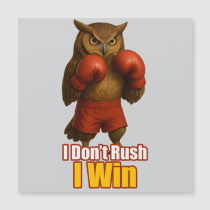 Boxing Owl  Win with Patience