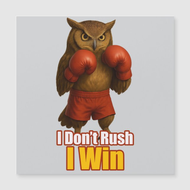 Boxing Owl  Win with Patience (Devant)