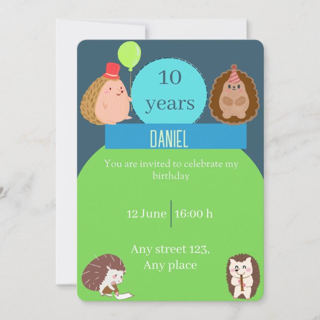 Boy Hedgehog Birthday Party Invitation (Devant)