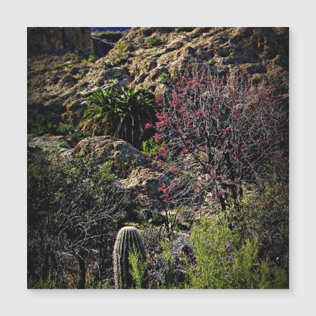 Boyce Thompson Arboretum (Devant)