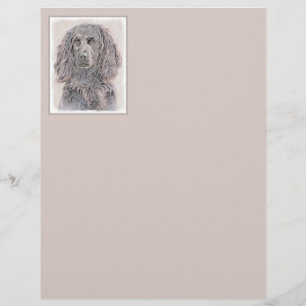 Boykin Peinture Espagnole - Cute Original Chien Ar