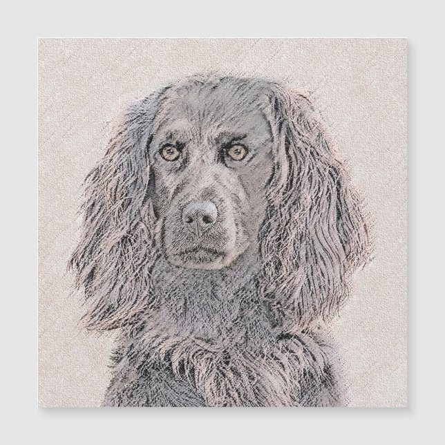 Boykin Peinture Espagnole - Cute Original Chien Ar (Devant)