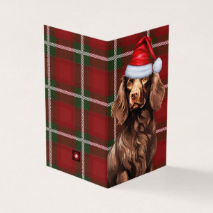 Boykin Spaniel Chien de Noël avec Plaid de vacance