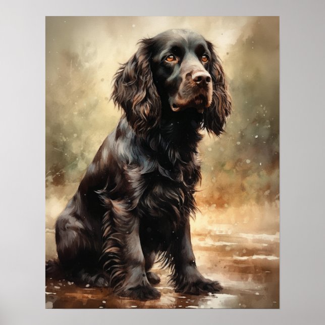 Boykin Spaniel Dog Art Imprimer Poster (Devant)