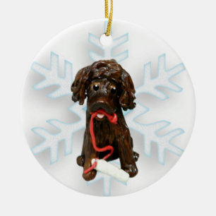 Boykin Spaniel ornement de Noël