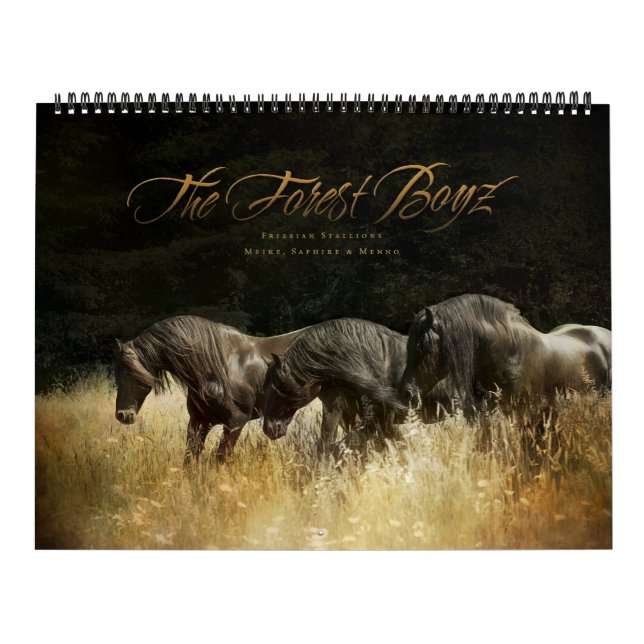 Boyz Forêt - Calendrier Céleste de la Patrie (Protection)