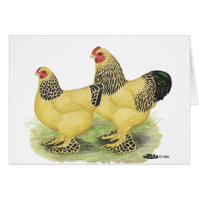 Brahmas :  Coqs nains de couleur chamois (Devant horizontal)