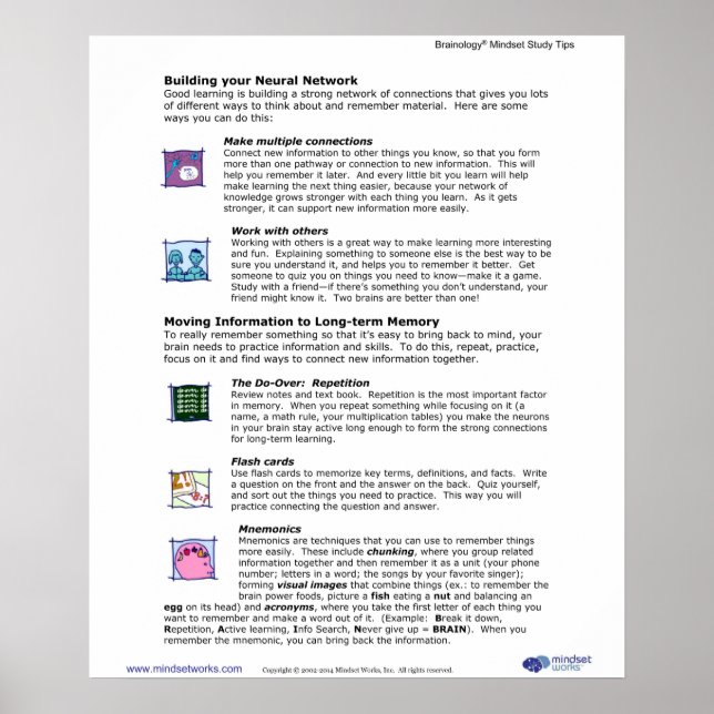 Brainology® Poster 6 : Construire votre réseau neu (Devant)