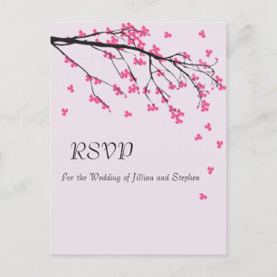 Branche de fleurs de cerisier - Carte postale de r