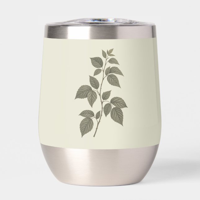 Branche de framboise verte vintage (Avant)
