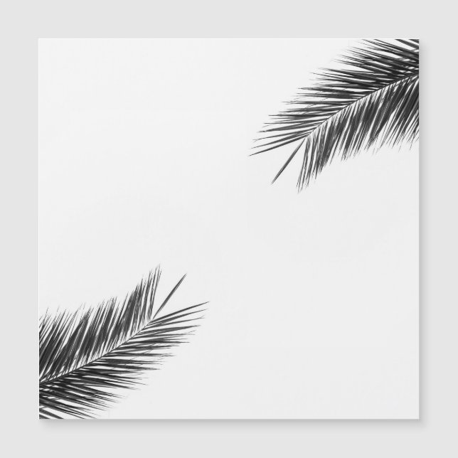 Branche de palmier (Devant)