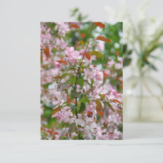 Branche délicate avec fleurs pommier