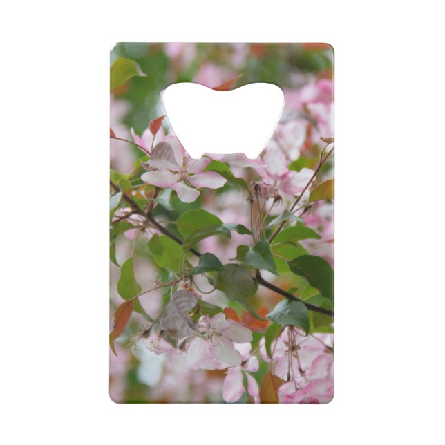 Branche délicate avec fleurs pommier (Dos)