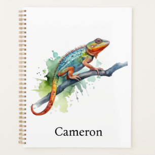Branche des couleurs : Chameleon Art, coutume