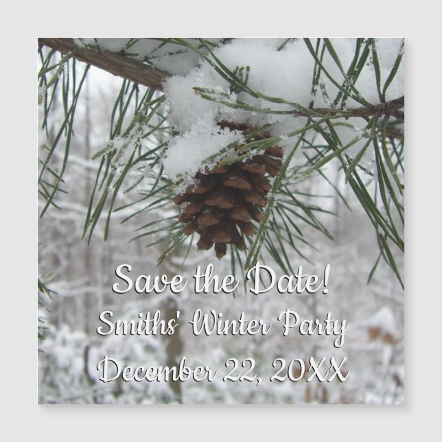 Branche des pins neigeux Photographie de la nature (Devant)