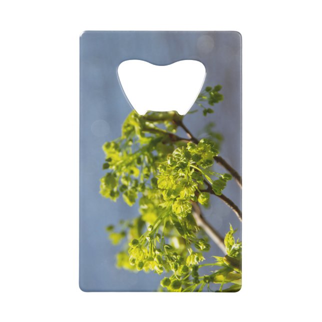 Branche verte mignonne dans le vent (Devant)