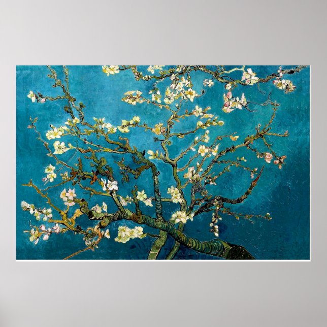 Branches d'amandes en fleurs Affiche Imprimer (Devant)