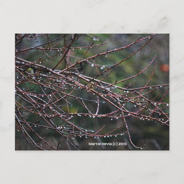 Branches dans la pluie | Carte postale Blue Beach  (Devant)