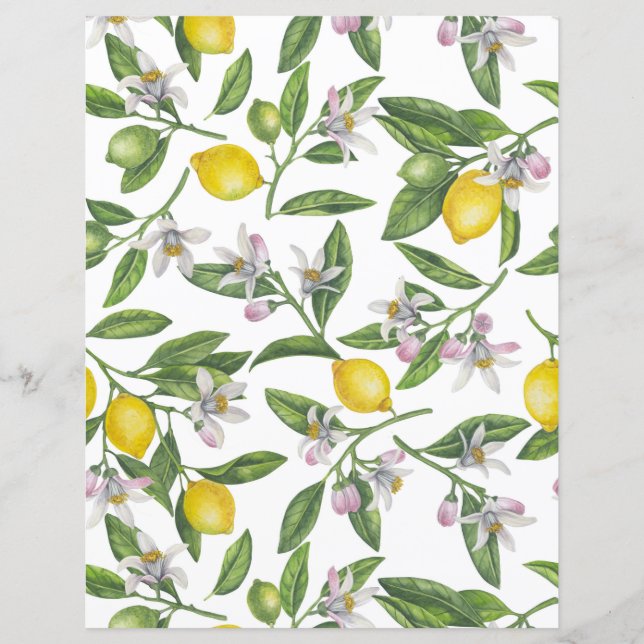 Branches de citron avec fleurs et fruits sur blanc (Devant)