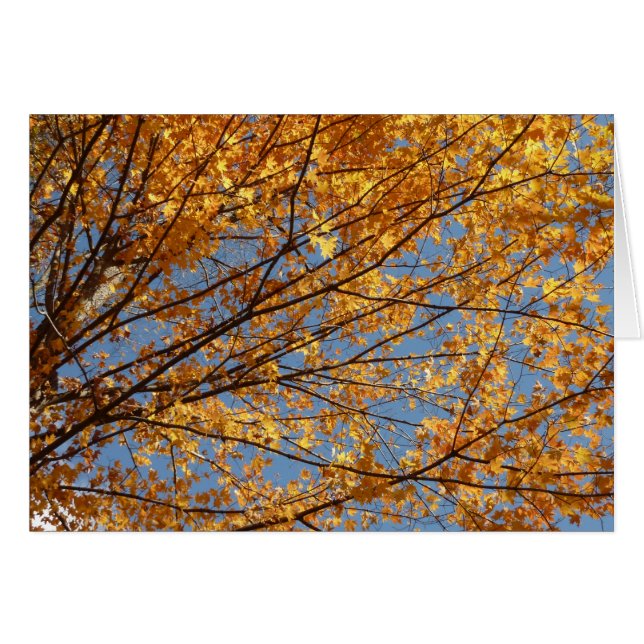 Branches de feuilles d'érable II Automne orange (Devant horizontal)
