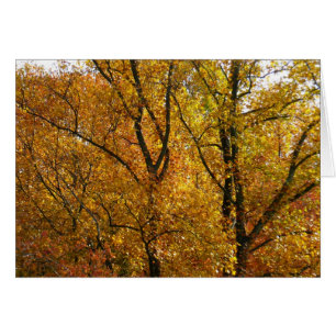 Branches de Feuilles Jaunes Bright Automne Coloré