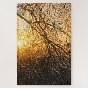 branches de glace puzzle