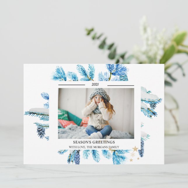 Branches de l'arbre à pin bleu BONNES FÊTES photo (Debout devant)