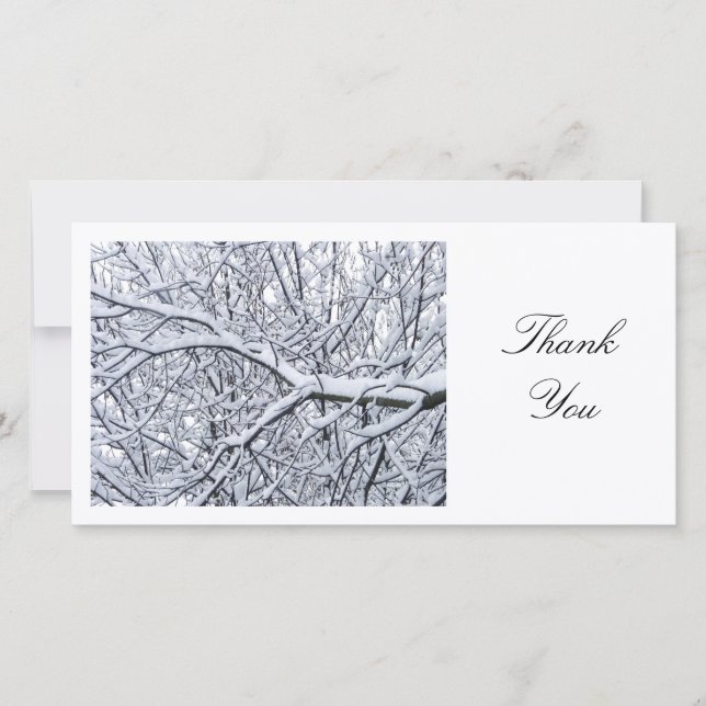 Branches de neige - Merci (Devant)