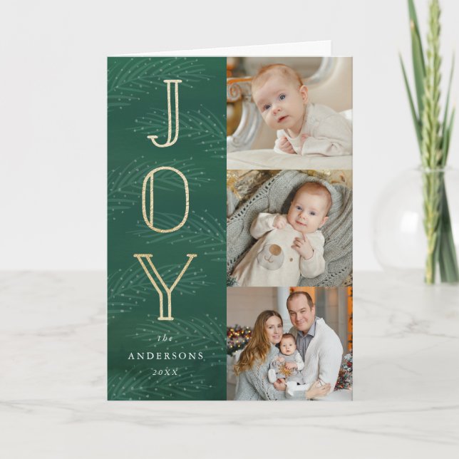 Branches d'hiver | Carte de voeux photo de vacance (Devant)