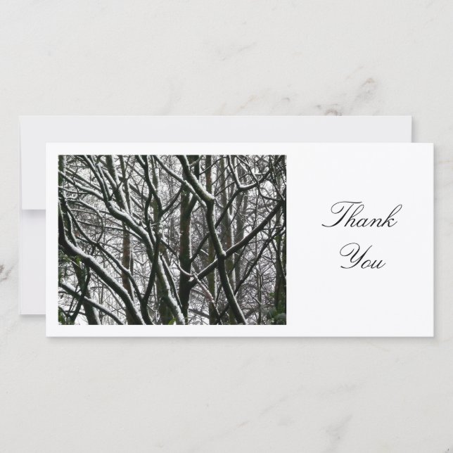 Branches d'hiver - Merci (Devant)