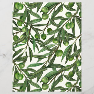 Branches d'olive sur blanc