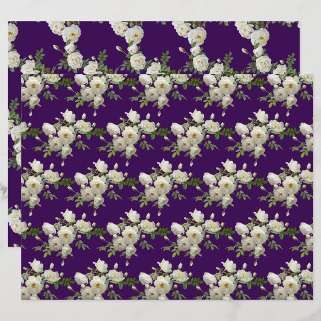 Branches du Motif de Roses Blanches (Devant / Derrière)