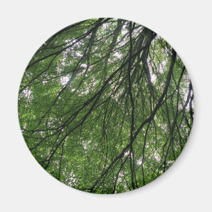 Branches et aimants Feuille