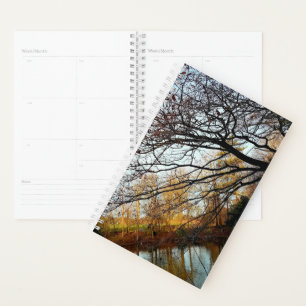 Branches et arbres