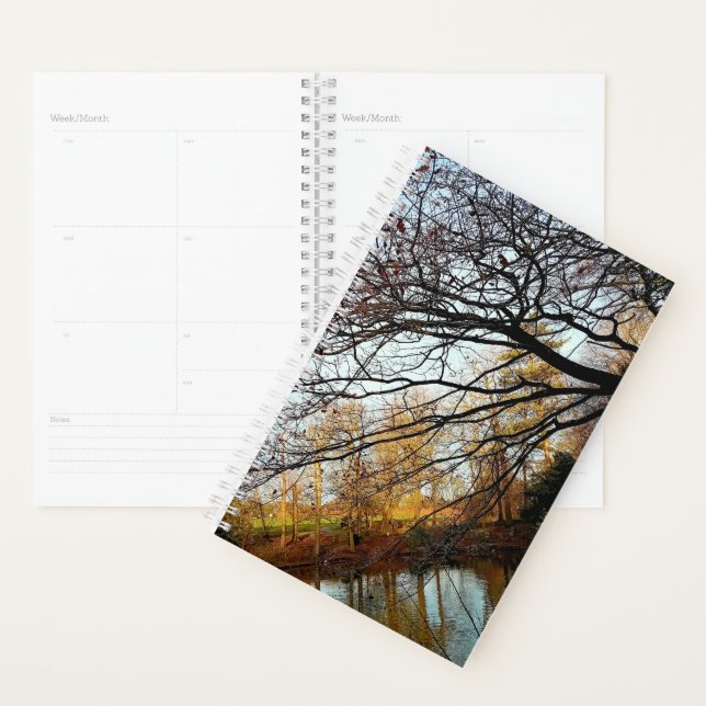 Branches et arbres (Devant avec enveloppe)