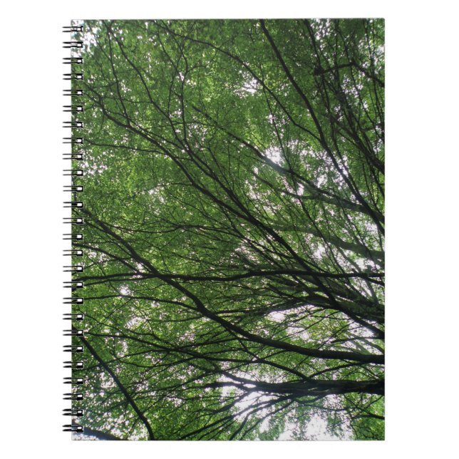 Branches et Carnet Feuille (Devant)